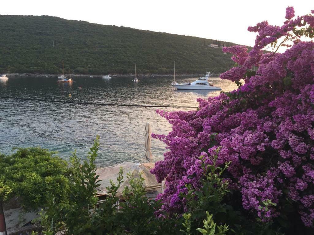 Waterfront Townhouse Sunset View With Garage Apartment Bigovo Bagian luar foto